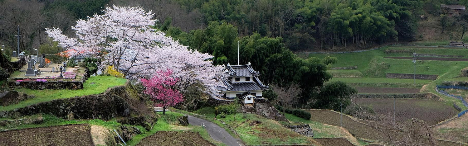 Omachi